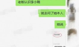 贾乃亮爆料厨房视频播放,揭秘明星家庭日常烹饪时光